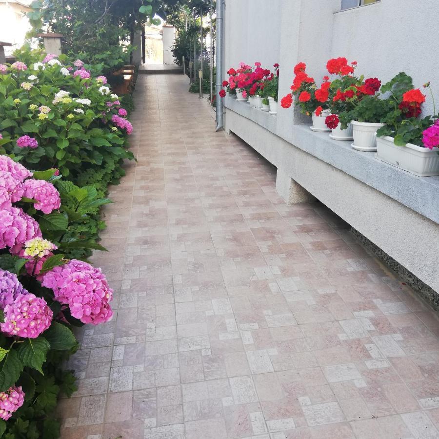 קיטן Albatros 2 Family Hotel מראה חיצוני תמונה
