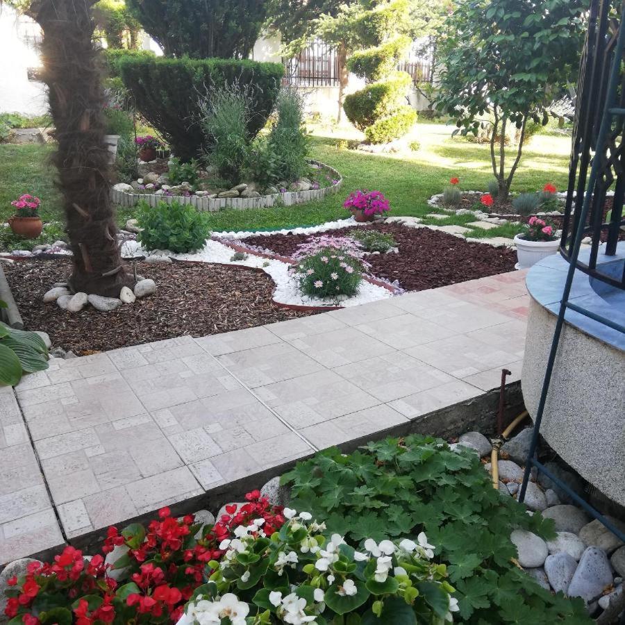 קיטן Albatros 2 Family Hotel מראה חיצוני תמונה